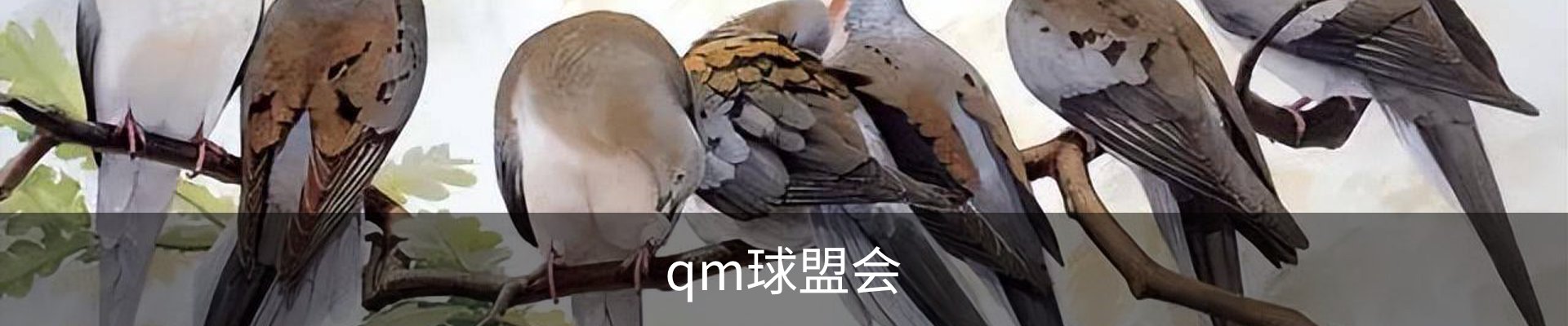 球盟会·qmh(中国)-官方网站